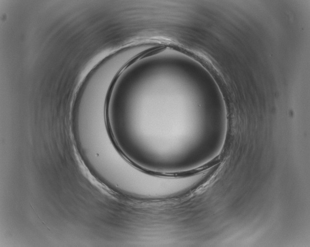 X0000067951038200604131430