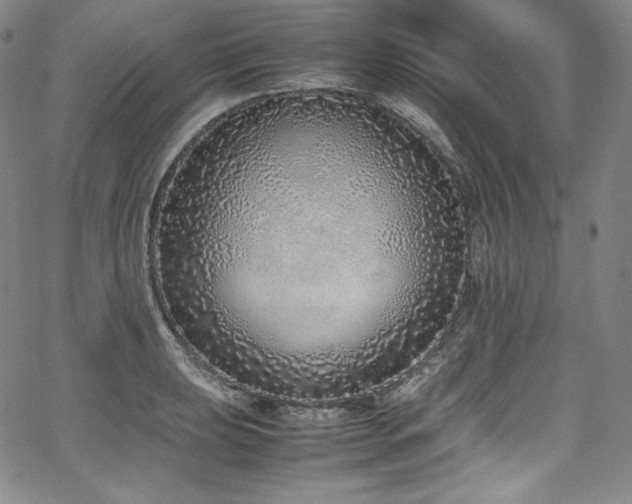 X0000067951039200604131430