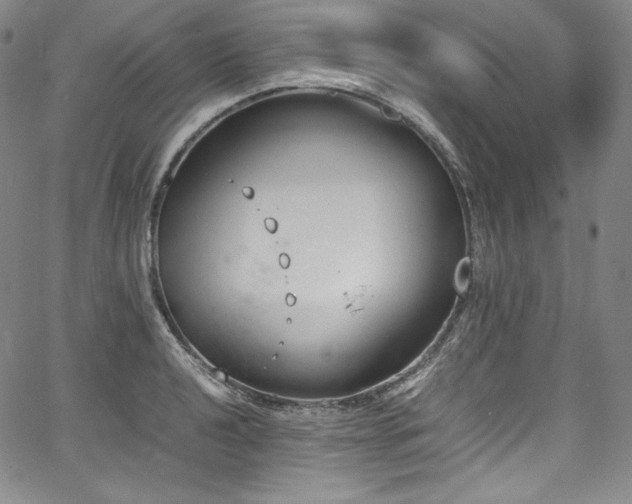 X0000067951040200604131430