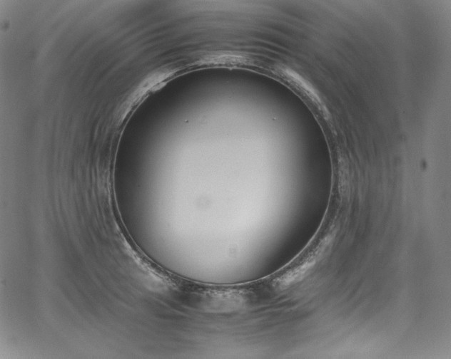 X0000067951041200604131430