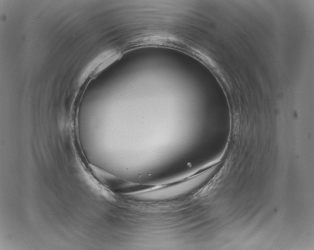 X0000067951042200604131430