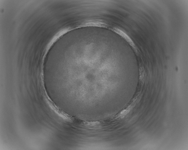 X0000067951043200604131430