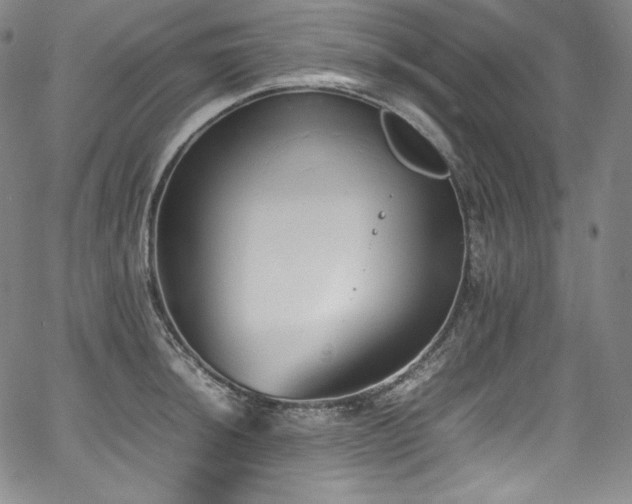 X0000067951044200604131430