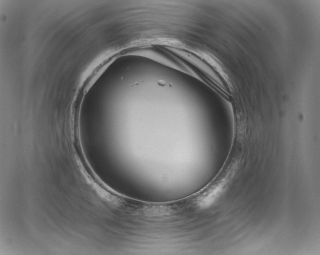 X0000067951046200604131430