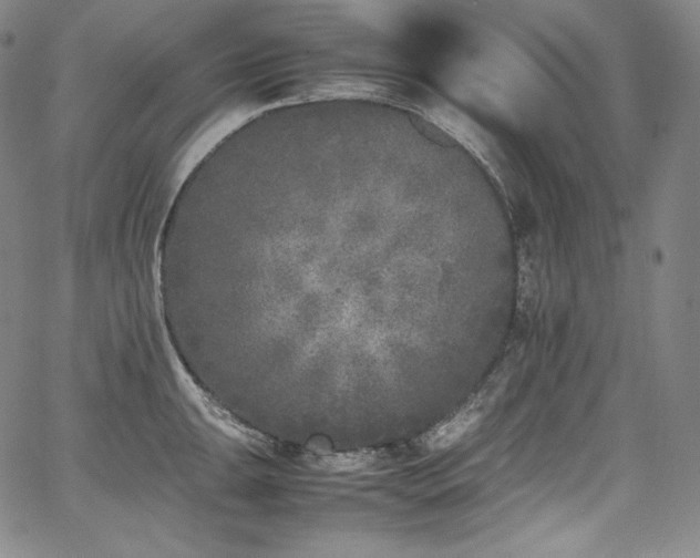 X0000067951047200604131430