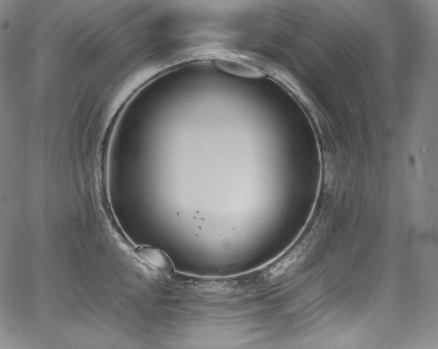 X0000067951048200604131430