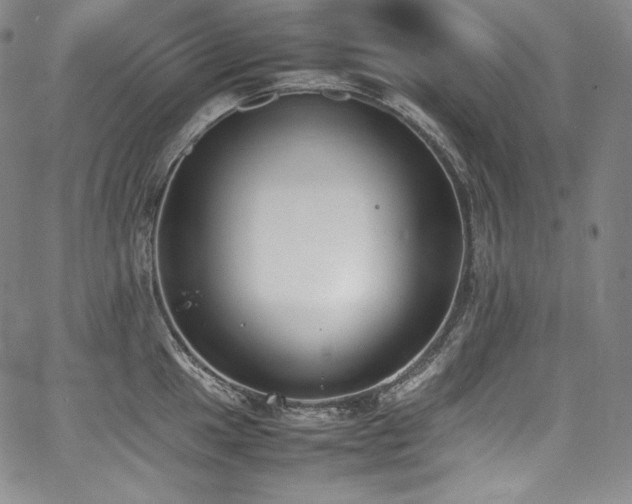 X0000067951049200604131430