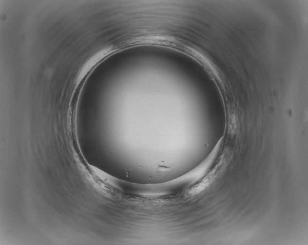 X0000067951050200604131430