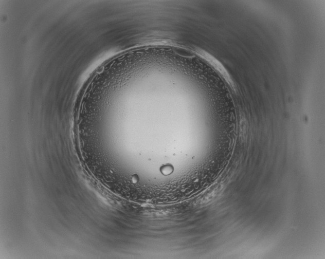 X0000067951051200604131430