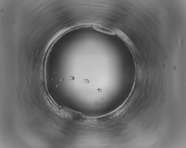 X0000067951052200604131430