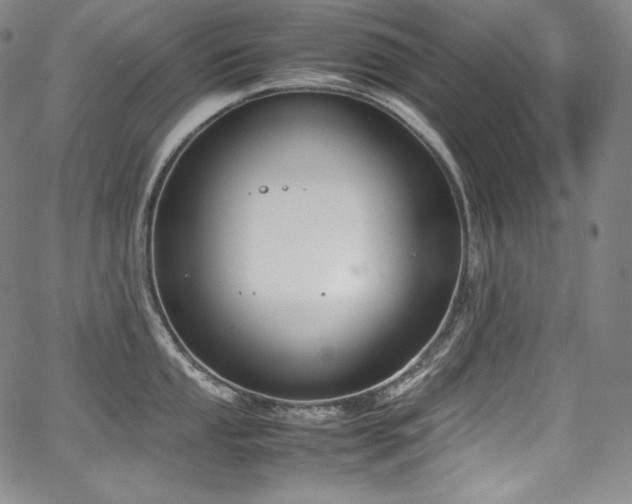 X0000067951053200604131430