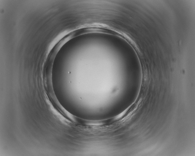 X0000067951054200604131430