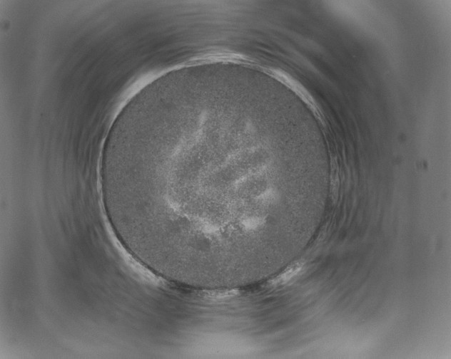 X0000067951055200604131431