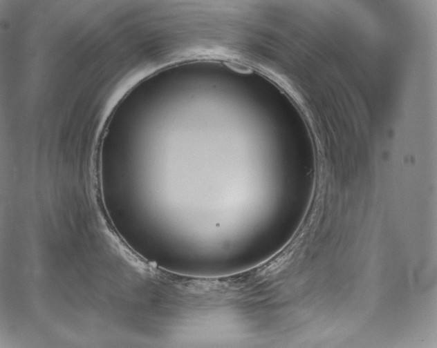 X0000067951056200604131431