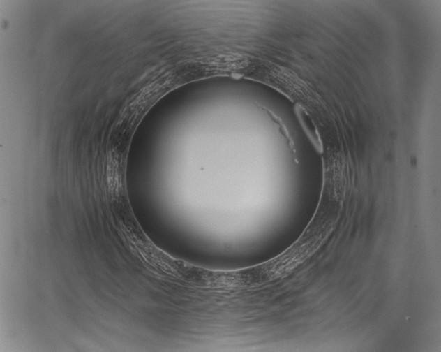 X0000067951058200604131430