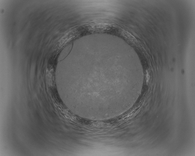 X0000067951059200604131430