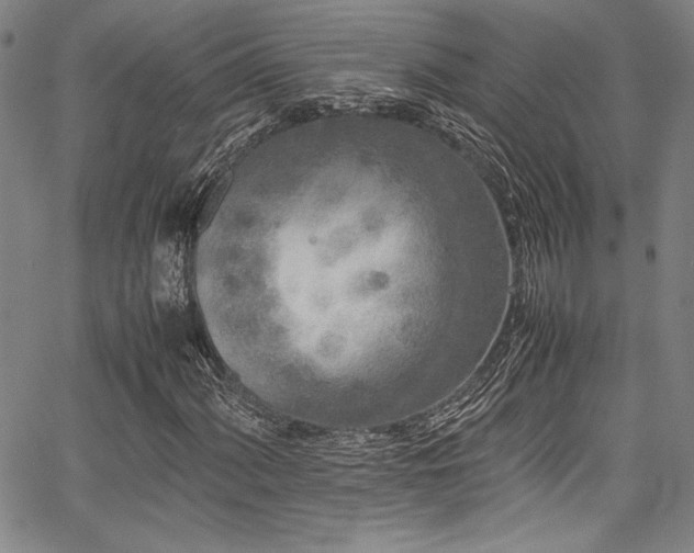 X0000067951060200604131430