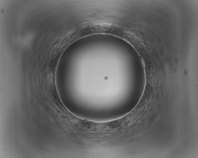 X0000067951061200604131430