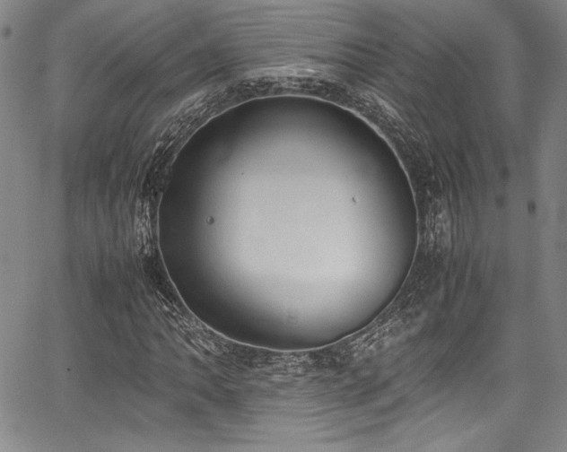 X0000067951062200604131430