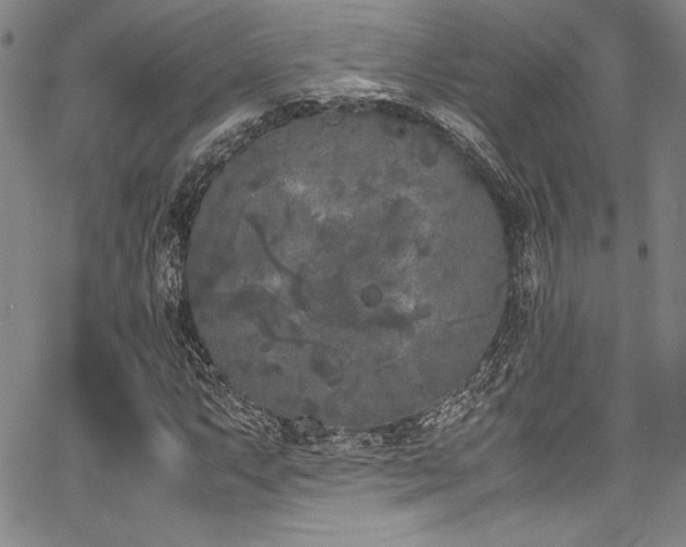 X0000067951063200604131430