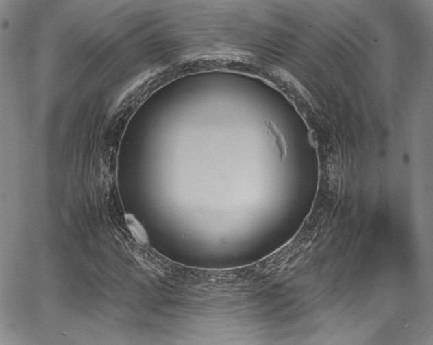 X0000067951064200604131430