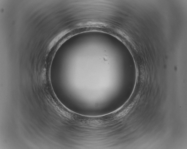 X0000067951066200604131430