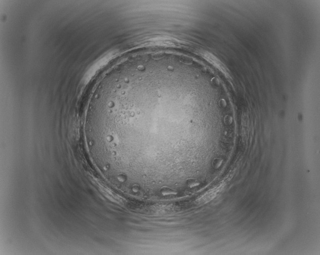 X0000067951067200604131430