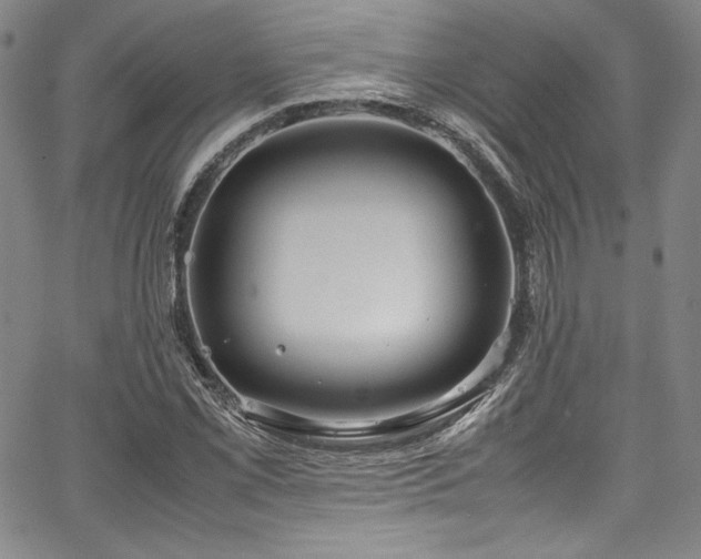 X0000067951069200604131430