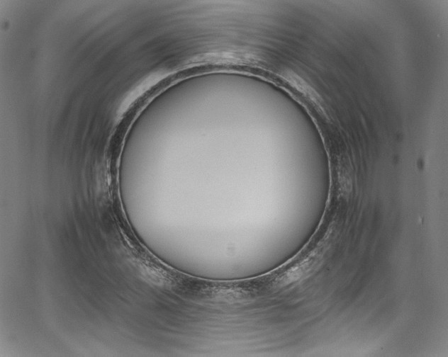 X0000067951070200604131430