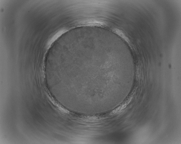 X0000067951071200604131430