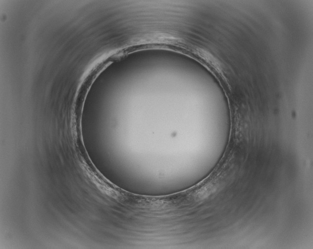 X0000067951072200604131430