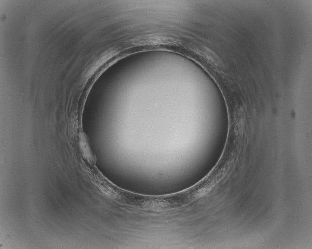X0000067951073200604131429