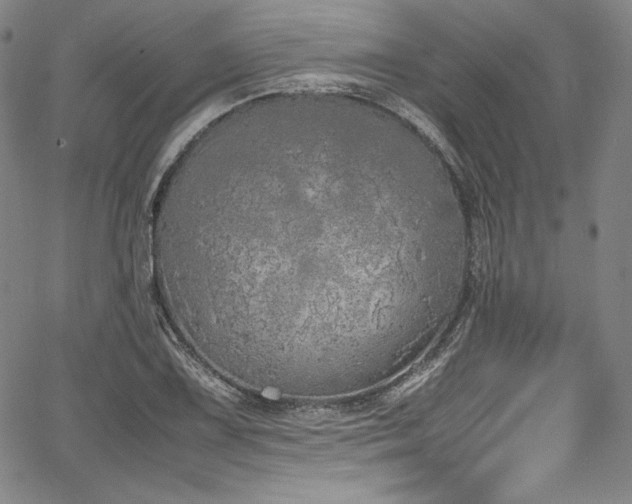 X0000067951075200604131429