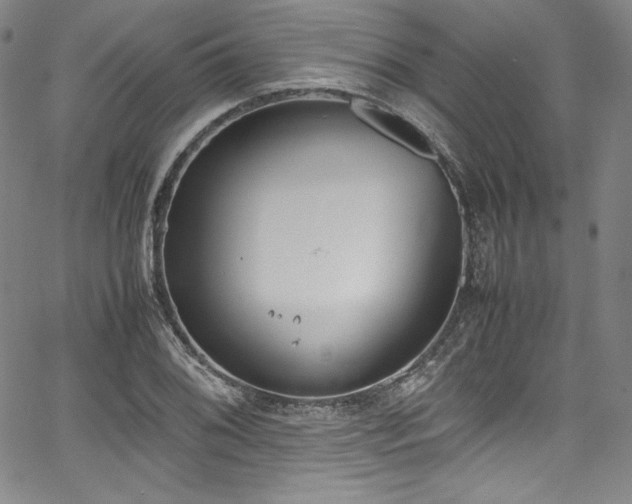 X0000067951076200604131429