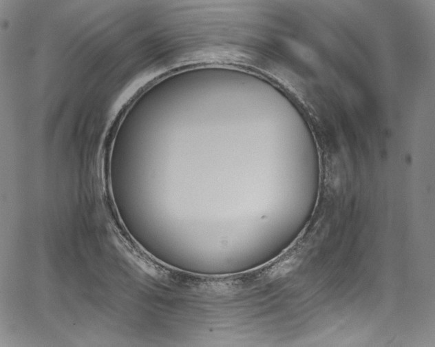 X0000067951078200604131429