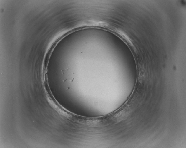 X0000067951080200604131429