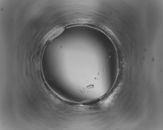 X0000067951081200604131429