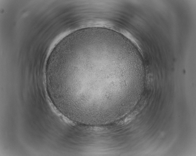 X0000067951088200604131429