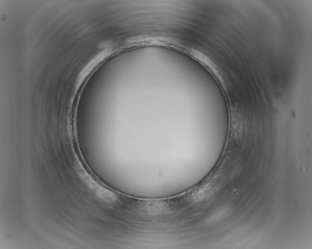 X0000067951090200604131429