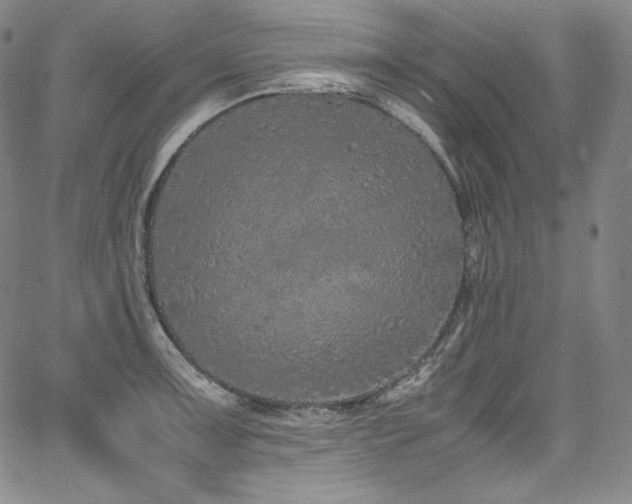 X0000067951091200604131429