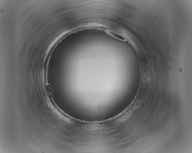 X0000067951092200604131429