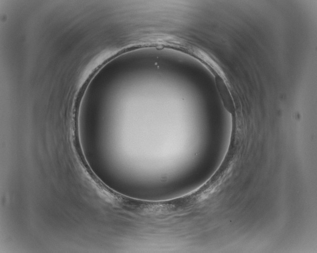 X0000067951093200604131429