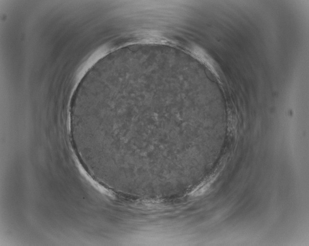 X0000067951095200604131429