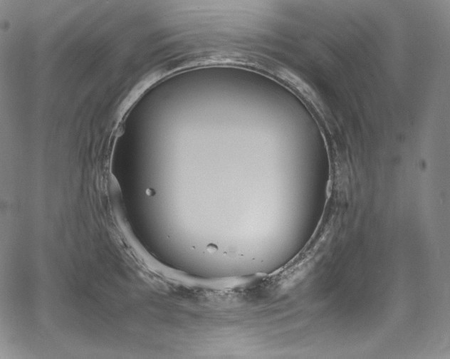 X0000067951097200604131429