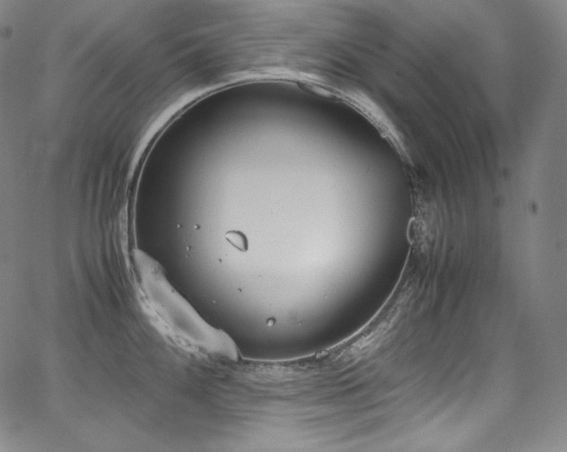 X0000067951100200604131429