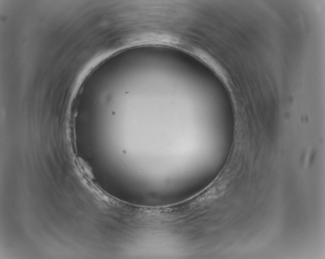 X0000067951104200604131429