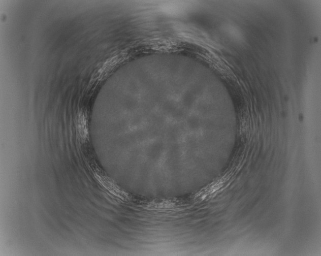 X0000067951106200604131428