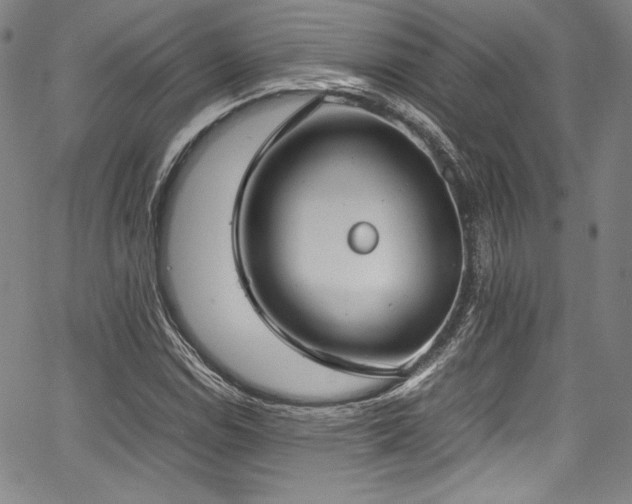 X0000067951114200604131428