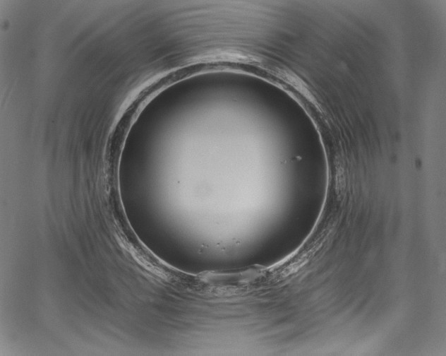 X0000067951116200604131428