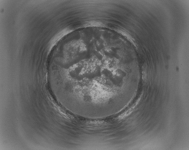 X0000067951117200604131428